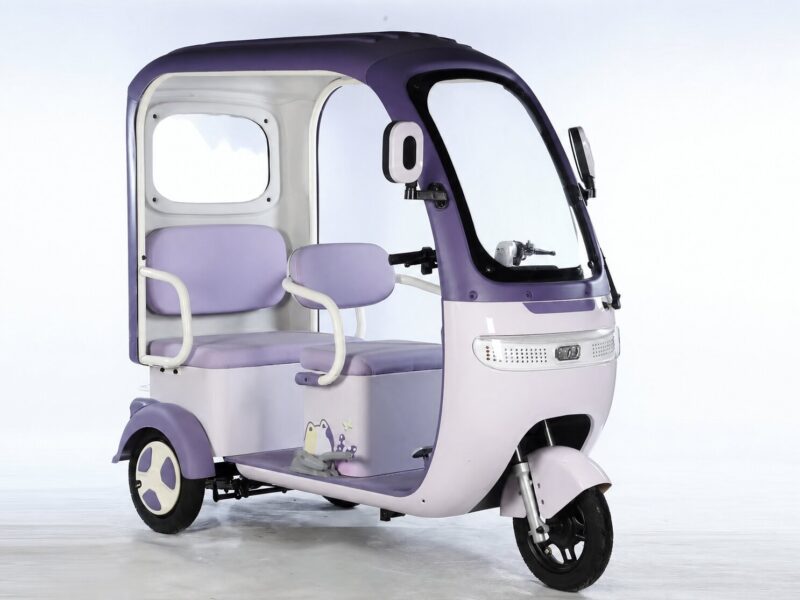 Three Wheel Scooter Passenger Leisure Electric Tricycle for Adults Electric Passenger Elder Tricycle