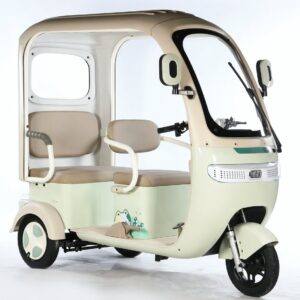 Three Wheel Scooter Passenger Leisure Electric Tricycle for Adults Electric Passenger Elder Tricycle