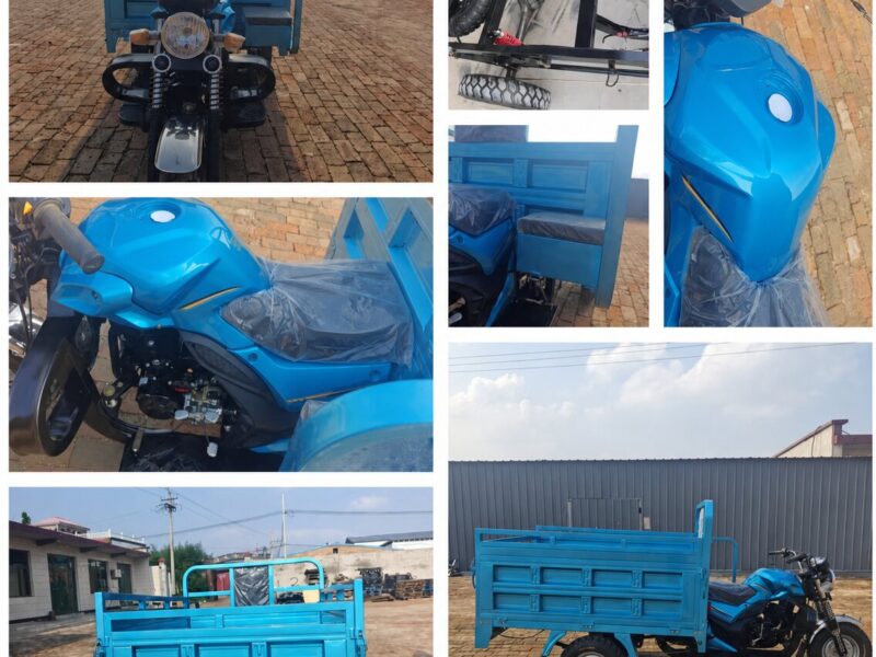 Three Wheels Gasoline Fuel Engine 200cc Cargo Tricycle with Open Deep Van Delivery Motorcycle Petrol Truck for Adults
