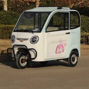 Tricycle Bike Electric Fully Enclosed Mobility Scooter Adult 3 Wheel Electric Chinese Tricycles for Adults Without License