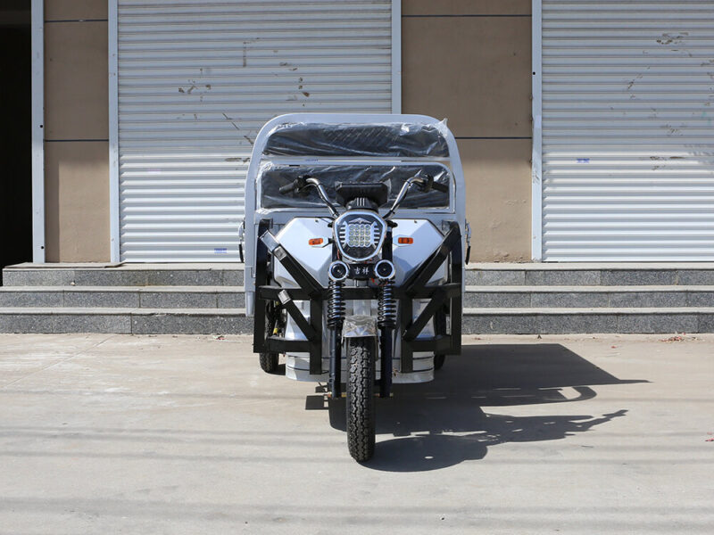 Wholesale 1200W Cargo Electric Tricycle Electric Trike Ebike 3 Wheel Electric Bicycle for Adults