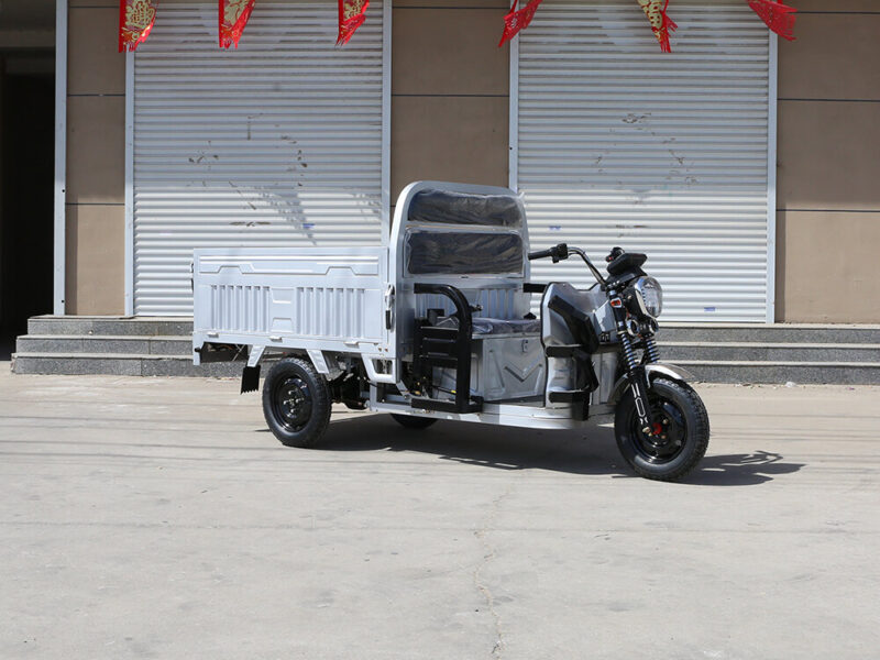 Wholesale 1200W Cargo Electric Tricycle Electric Trike Ebike 3 Wheel Electric Bicycle for Adults