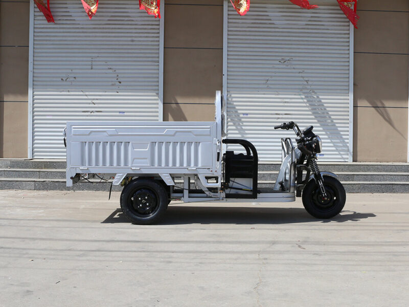 Wholesale 1200W Cargo Electric Tricycle Electric Trike Ebike 3 Wheel Electric Bicycle for Adults