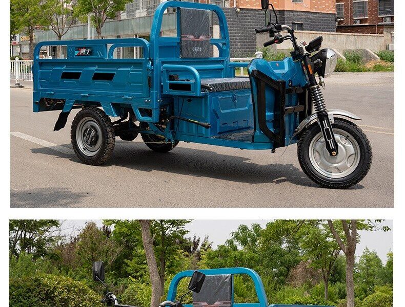 Wholesale 850W-1000W Electric Cargo Tricycle 60V 3-Wheel Bike for Adults with Open Body Electric Motorcycle Tricycle