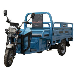 Wholesale 850W-1000W Electric Cargo Tricycle 60V 3-Wheel Bike for Adults with Open Body Electric Motorcycle Tricycle