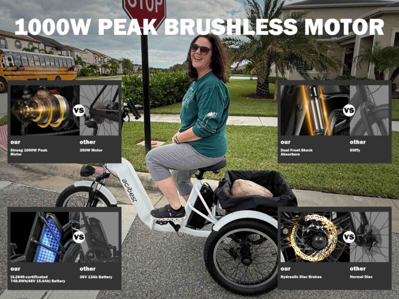 Wholesale Heavy Duty Fat Tire Electric Trike Folding 3 Wheel Electric Bike for Adults with Rear Rack
