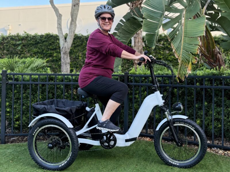 Wholesale Heavy Duty Fat Tire Electric Trike Folding 3 Wheel Electric Bike for Adults with Rear Rack