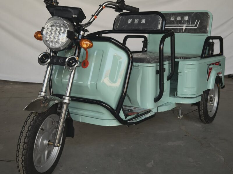 Wholesale High Quality 3-Wheel Adult Motorized Open Body Electric Cargo Tricycle with 500W Differential Motor