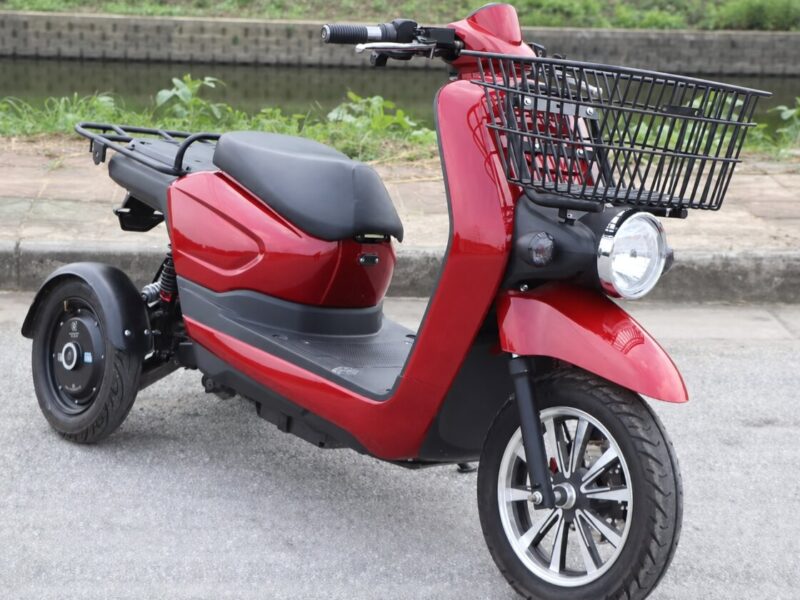 Wholesale High Quality 3 Wheel Adults Battery Powered Electric Tricycles Adultos Three Wheel Triciclo Electrico Trike for Sale