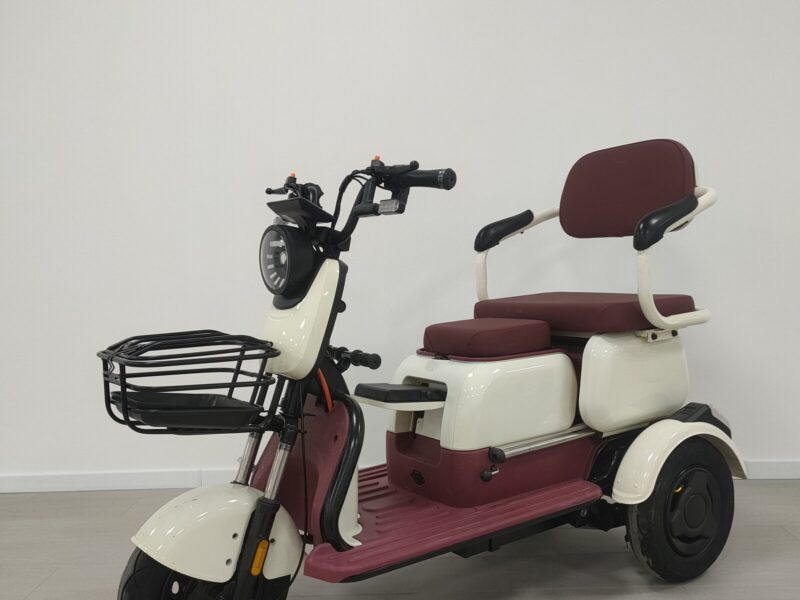 Wholesale Price 3 Wheel Electric Trike Passenger Electric Tricycle for Adults