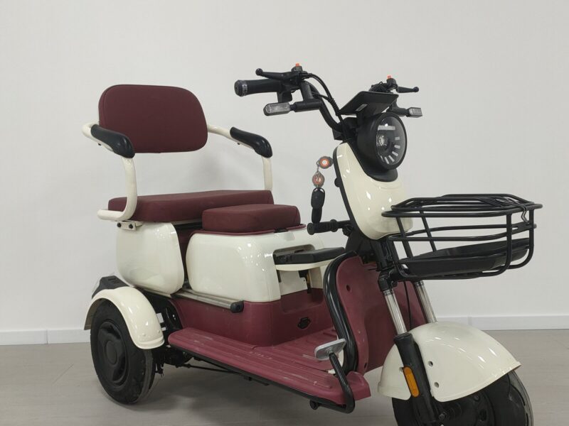Wholesale Price 3 Wheel Electric Trike Passenger Electric Tricycle for Adults