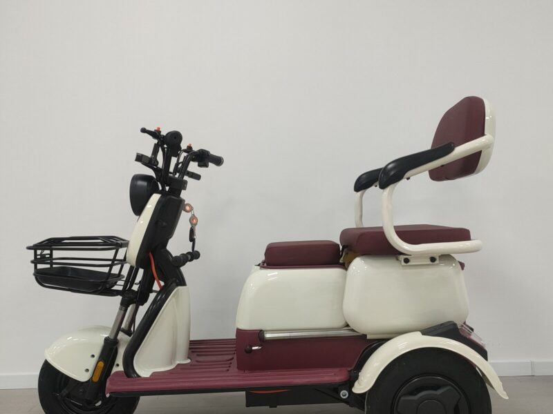 Wholesale Price 3 Wheel Electric Trike Passenger Electric Tricycle for Adults