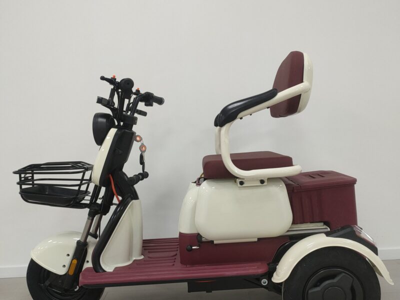 Wholesale Price 3 Wheel Electric Trike Passenger Electric Tricycle for Adults