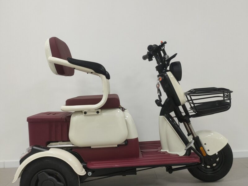 Wholesale Price 3 Wheel Electric Trike Passenger Electric Tricycle for Adults