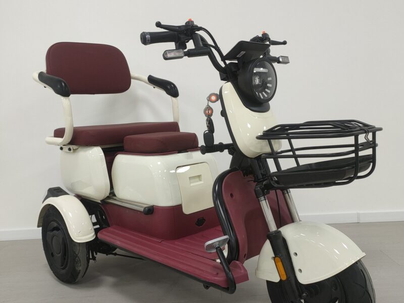 Wholesale Price 3 Wheel Electric Trike Passenger Electric Tricycle for Adults