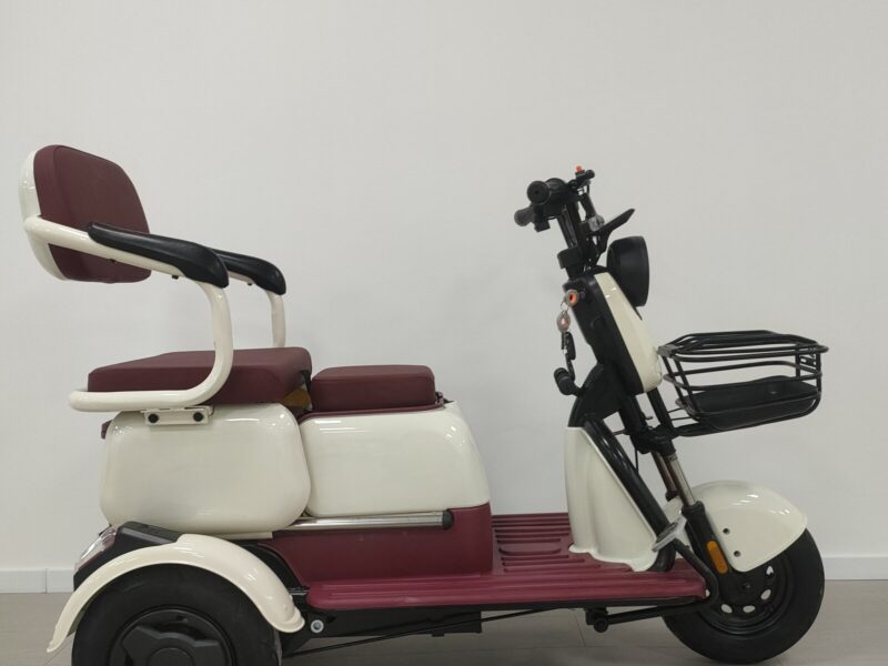 Wholesale Price 3 Wheel Electric Trike Passenger Electric Tricycle for Adults