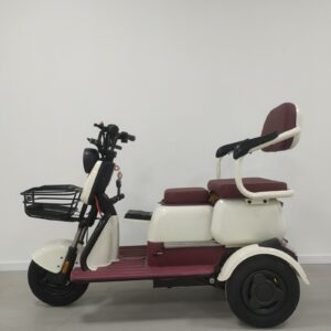Wholesale Price 3 Wheel Electric Trike Passenger Electric Tricycle for Adults