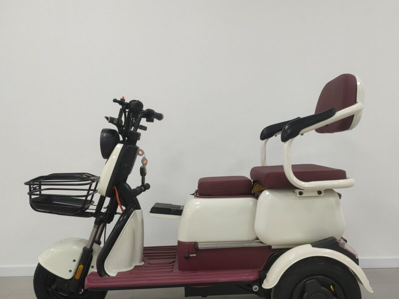 Wholesale Price 3 Wheel Electric Trike Passenger Electric Tricycle for Adults