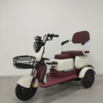 Wholesale Price 3 Wheel Electric Trike Passenger Electric Tricycle for Adults - image 2