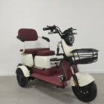 Wholesale Price 3 Wheel Electric Trike Passenger Electric Tricycle for Adults - image 4
