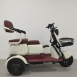 Wholesale Price 3 Wheel Electric Trike Passenger Electric Tricycle for Adults - image 5