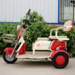 Wholesaler Price Electric Tricycle Open Body Three Seats 3 Wheels >1000W 50-70km Range Electric Vehicle for Adults Use - image 2